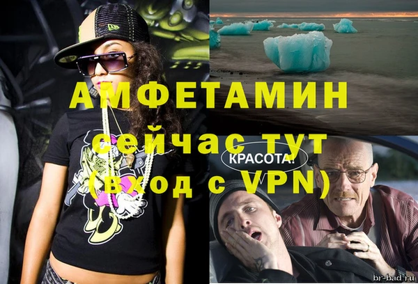 шишки Аркадак