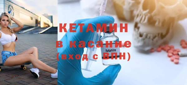 шишки Аркадак