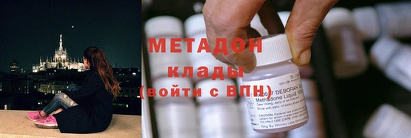 шишки Аркадак