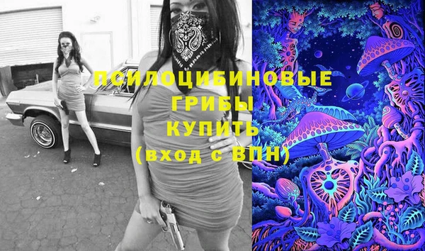 PSILOCYBIN Пестово