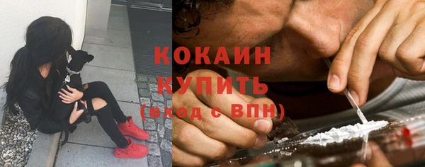 шишки Аркадак